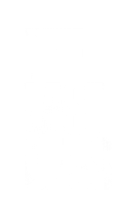 The Last of Us